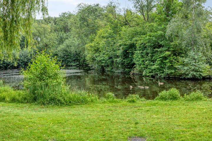 Foto 49 van Burgemeester Falkenaweg 195