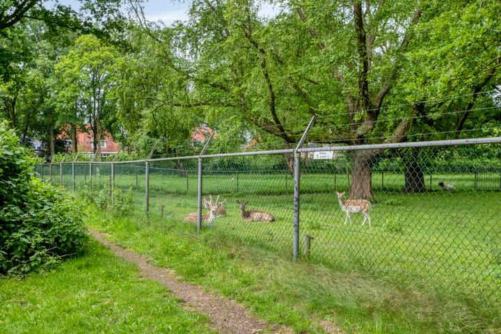 Foto 50 van Burgemeester Falkenaweg 195