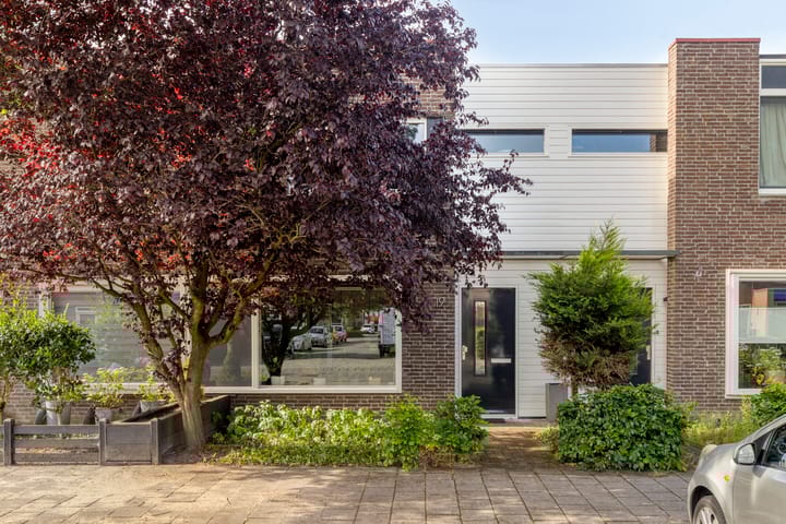 Foto 25 van Gentiaanblauwtje 19