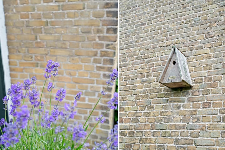 Foto 25 van Rijsdijk 109