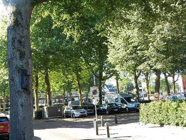 Foto 28 van Drieherenlaan 45