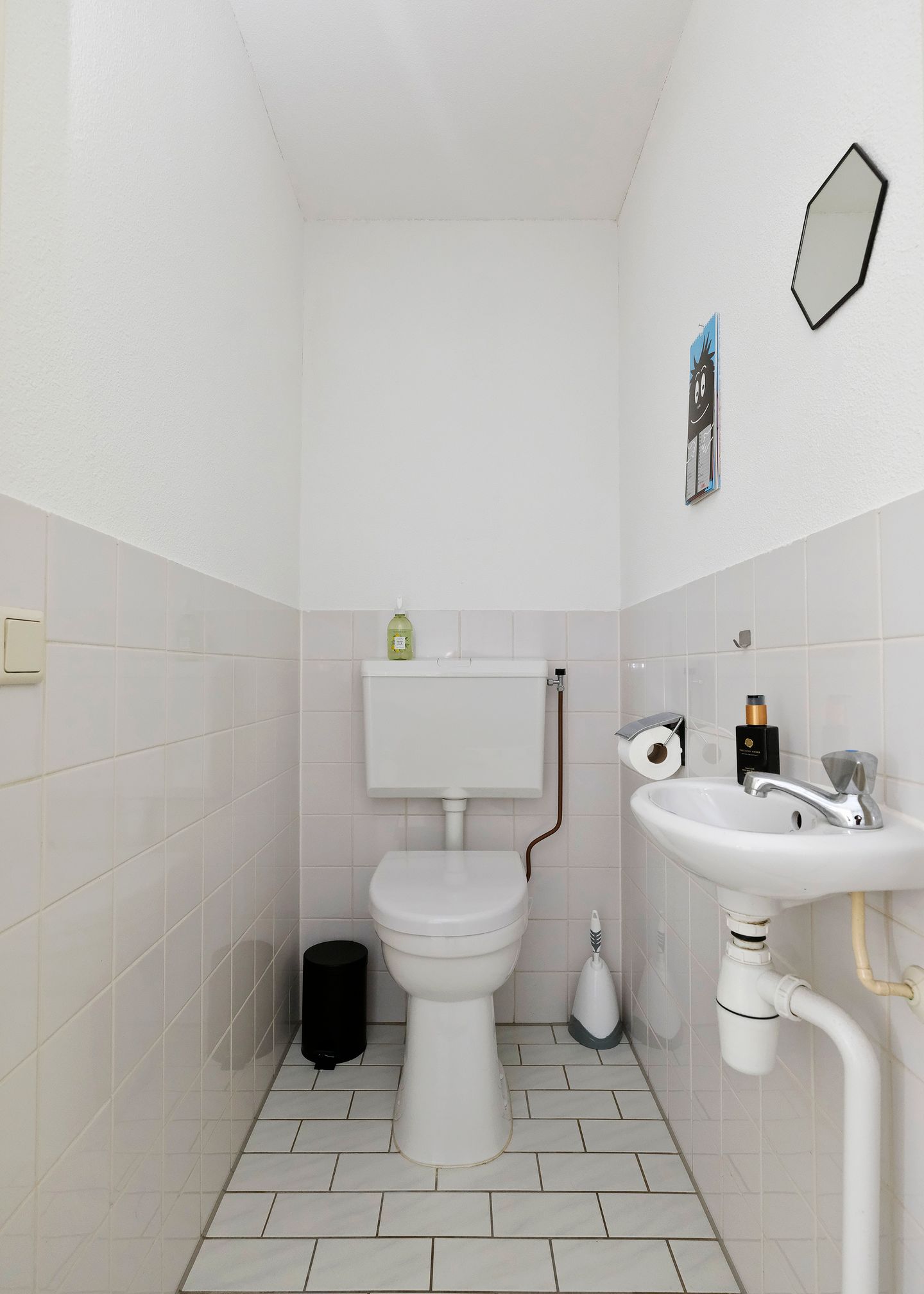 Foto 20 van Tjaarlingermeer 188