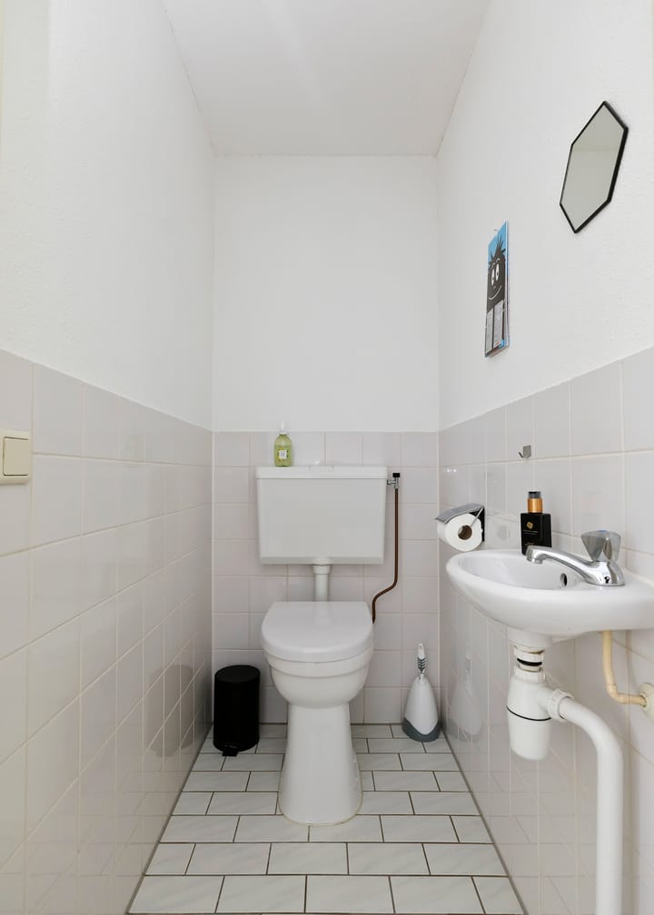 Foto 20 van Tjaarlingermeer 188