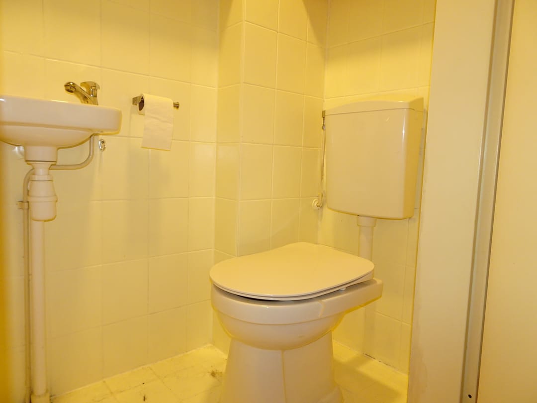 Foto 8 van Rietzangerstraat 27