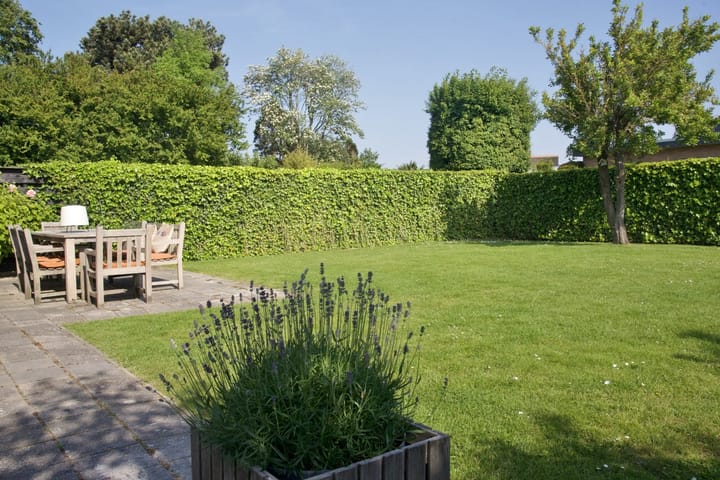 Foto 25 van Zeekraalstraat 6