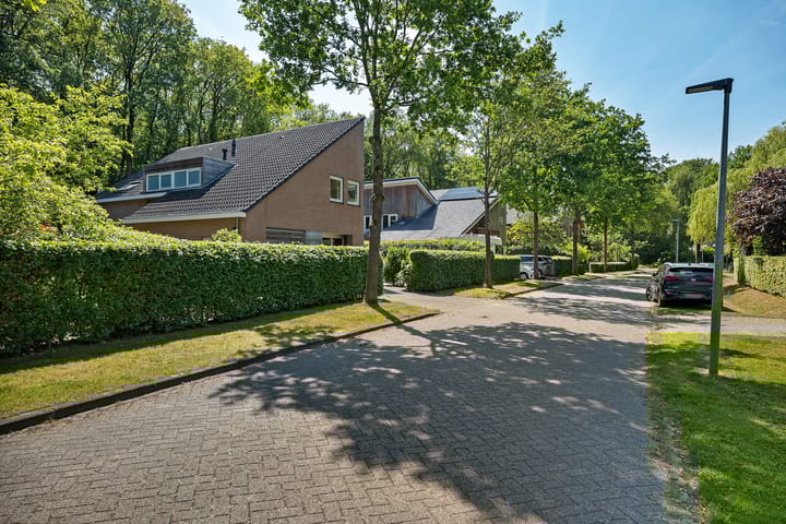 Foto 46 van Houtlaan 6