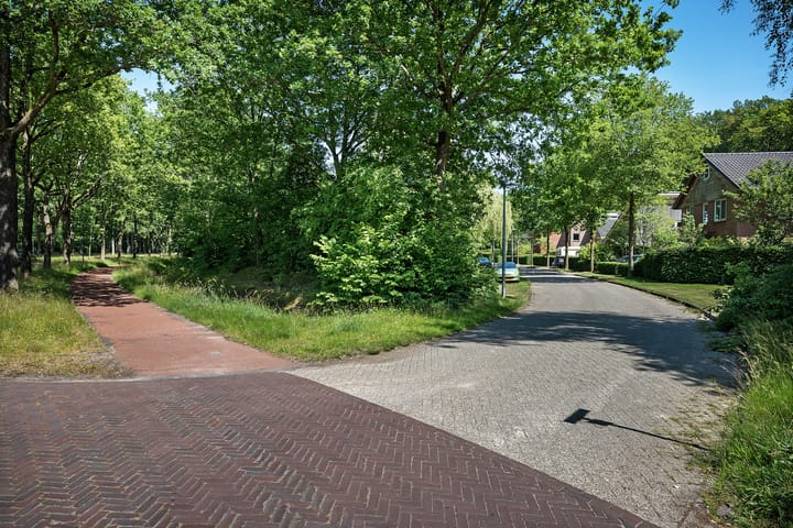 Foto 47 van Houtlaan 6