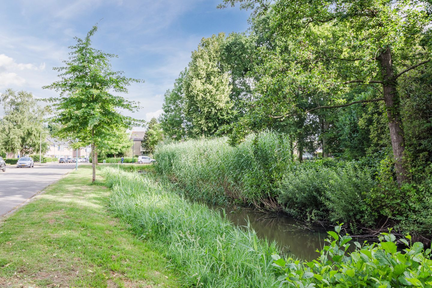 Photo 35 of Van Oldenbarneveltstraat 84