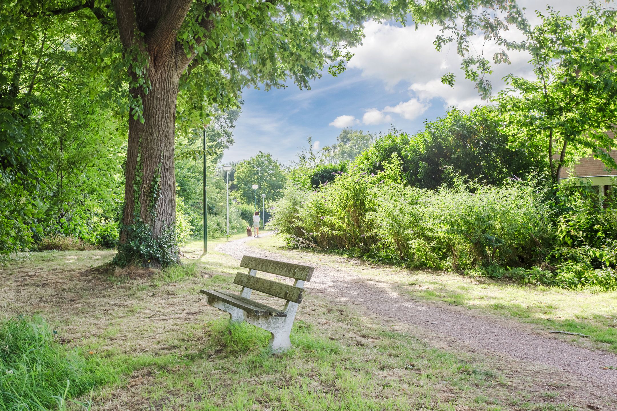 Photo 36 of Van Oldenbarneveltstraat 84