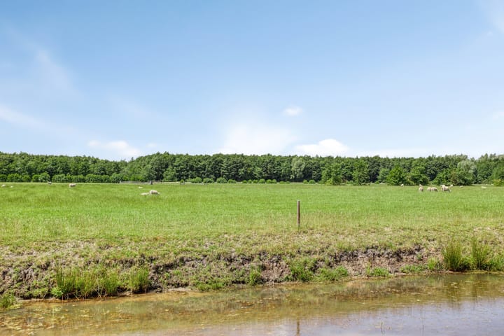 Foto 32 van de Weerstallen 48