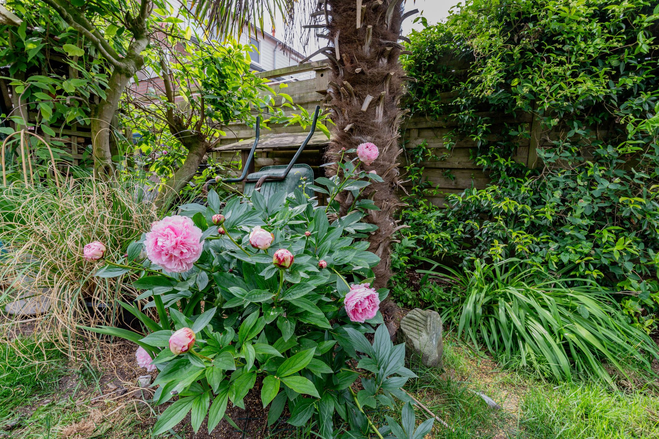 Foto 27 van Lentestraat 21