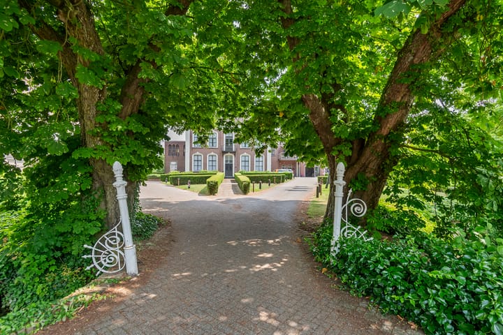 Foto 2 van Rooijsestraat 46-04