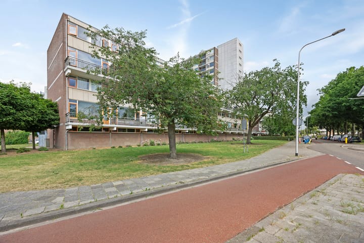 Foto 27 van Monteverdilaan 33