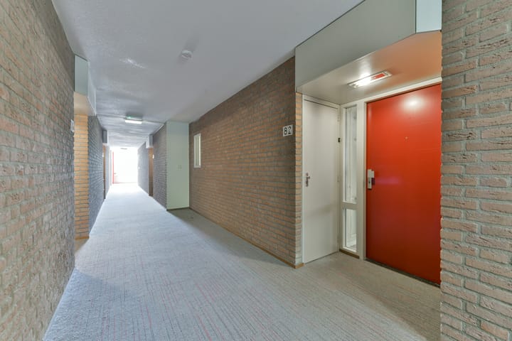 Foto 5 van Zaaier 82