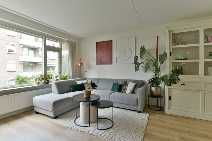 Foto 10 van Zaaier 82