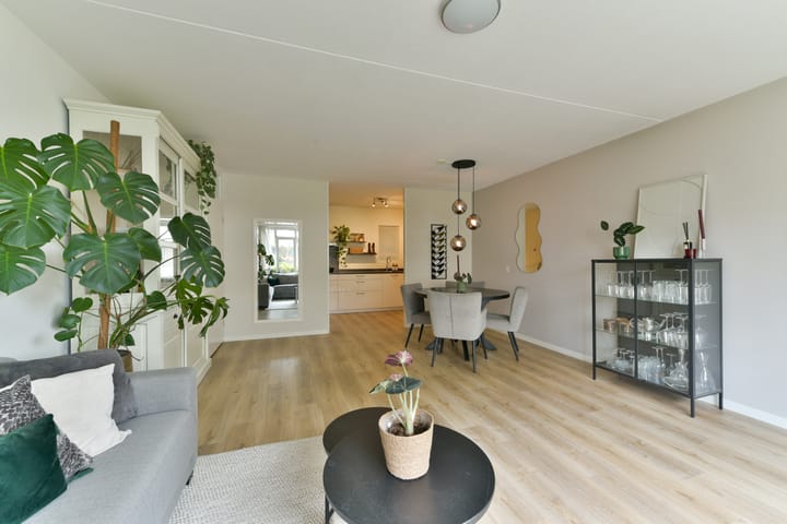 Foto 11 van Zaaier 82