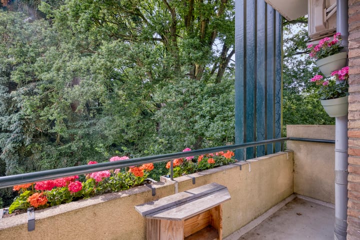 Foto 20 van Park de Kotten 159