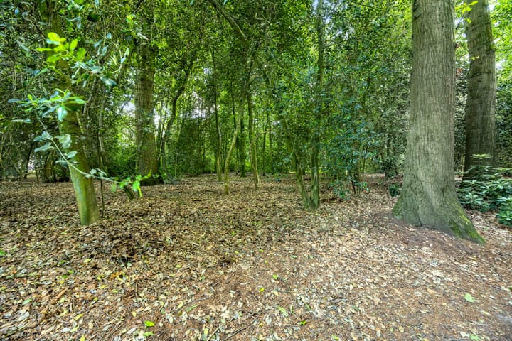 Foto 37 van Park de Kotten 159