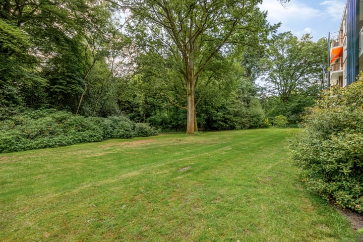 Foto 38 van Park de Kotten 159