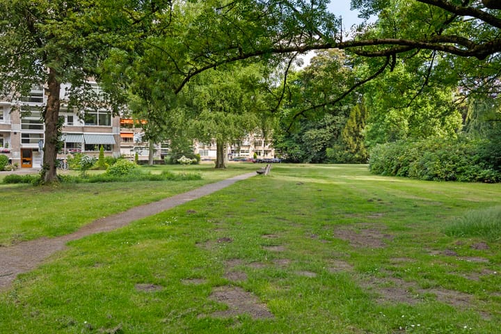 Foto 39 van Park de Kotten 159