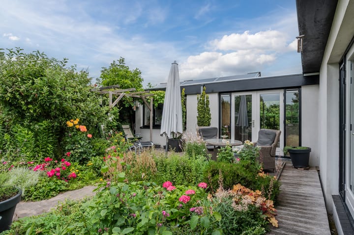 Foto 32 van Watertuin 38