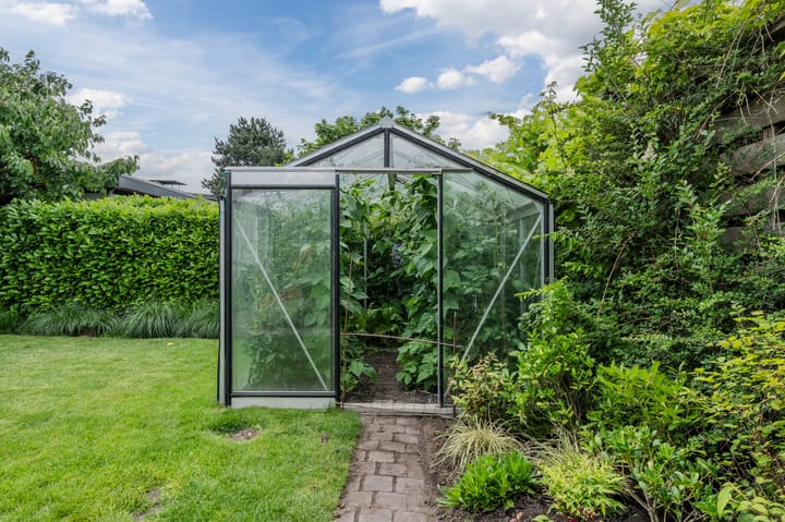 Foto 35 van Watertuin 38