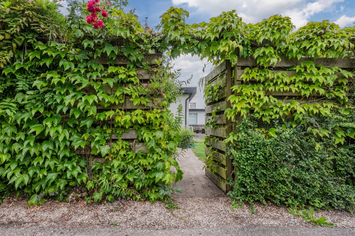 Foto 44 van Watertuin 38