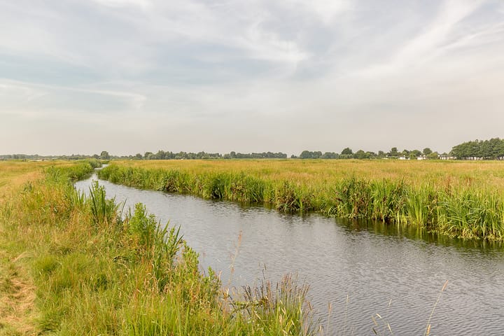 Foto 50 van Watertuin 38