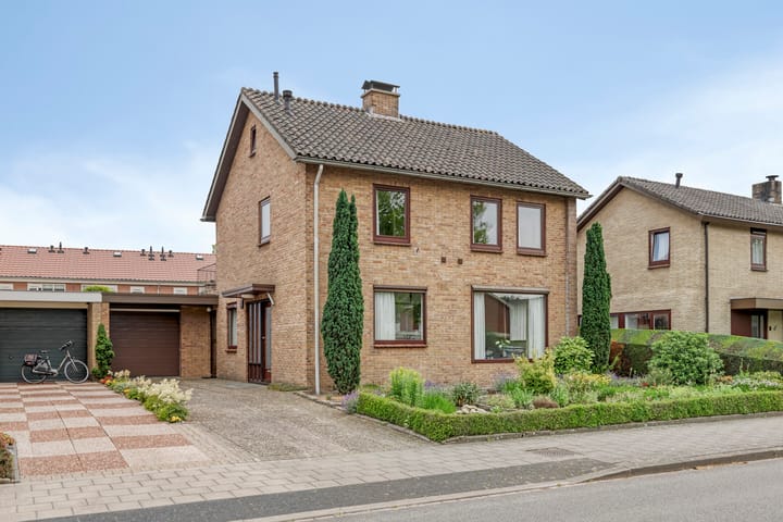undefined main image