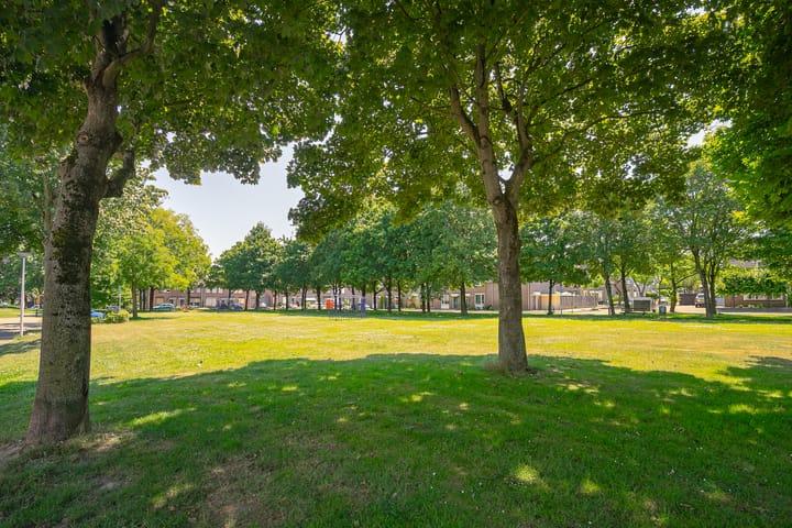 Foto 24 van Van Rongihof 2