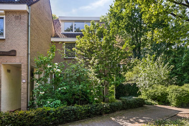 Foto 40 van Adelbertweg 39