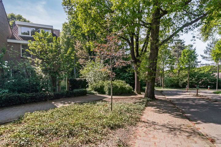 Foto 41 van Adelbertweg 39