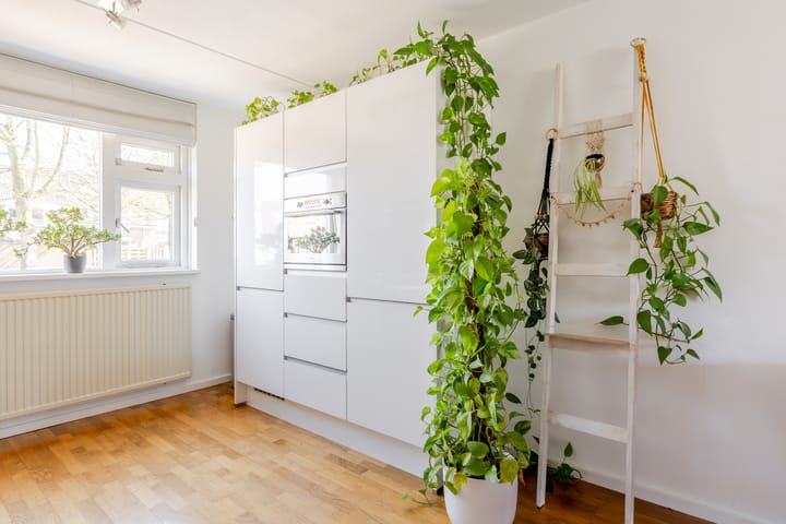 Foto 23 van Stelleveld 14