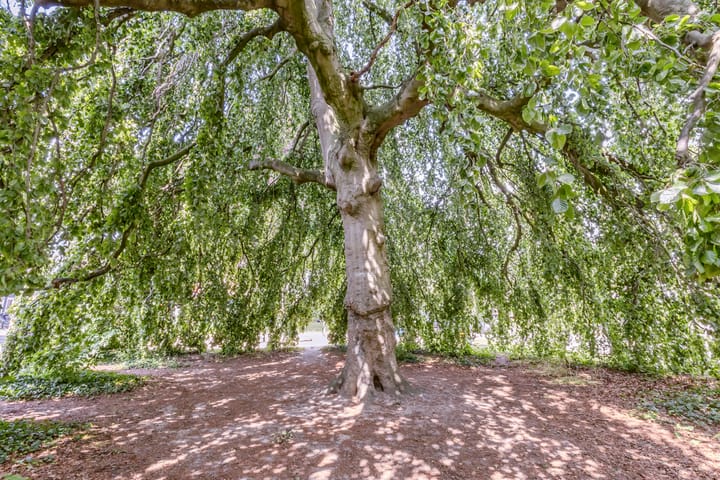 Foto 37 van Adamsweg 42