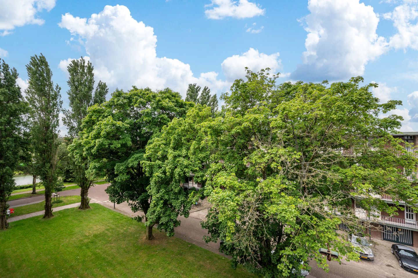 Foto 19 van Cort van der Lindenstraat 62