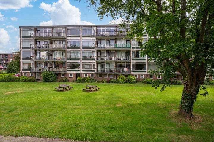 Foto 23 van Cort van der Lindenstraat 62