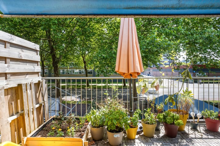 Foto 17 van Kamillehof 57