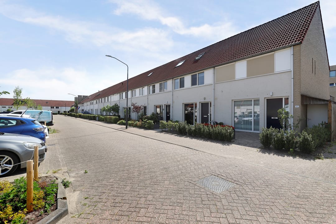 Foto 38 van Pallieterplein 103