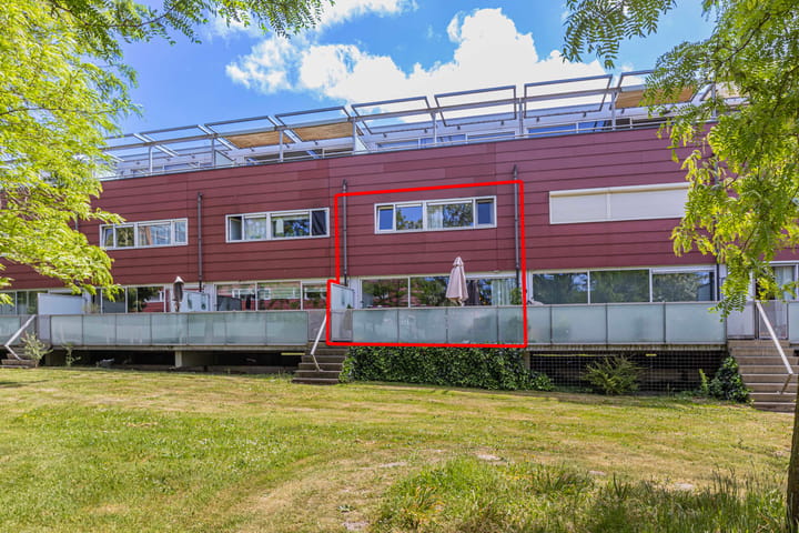 Foto 1 van Meerval 62