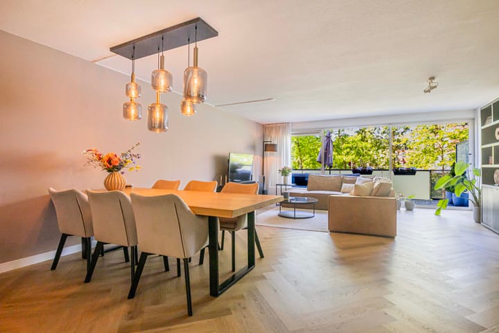 Foto 2 van Meerval 62