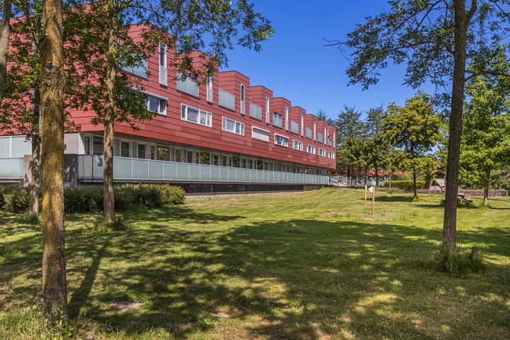 Foto 5 van Meerval 62