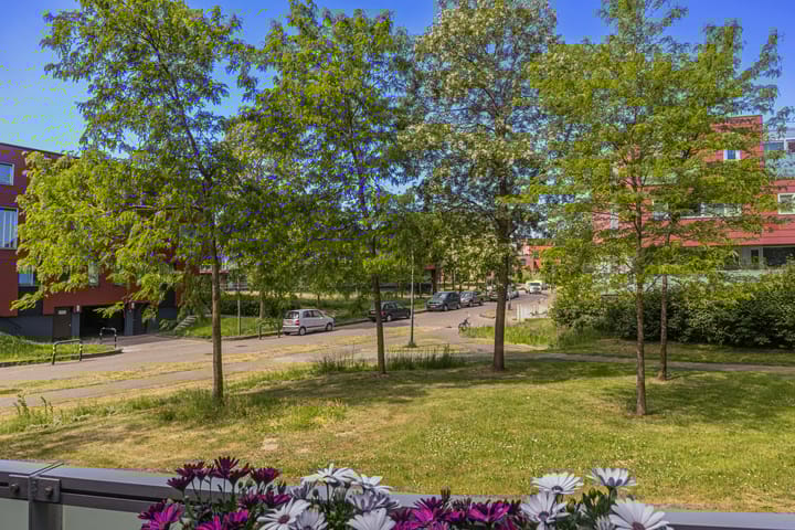 Foto 22 van Meerval 62