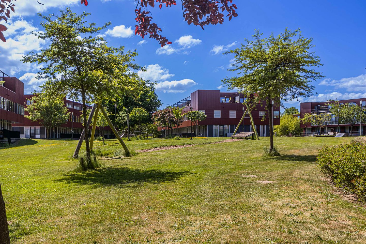 Foto 29 van Meerval 62