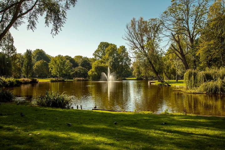 Foto 21 van Panamalaan 84