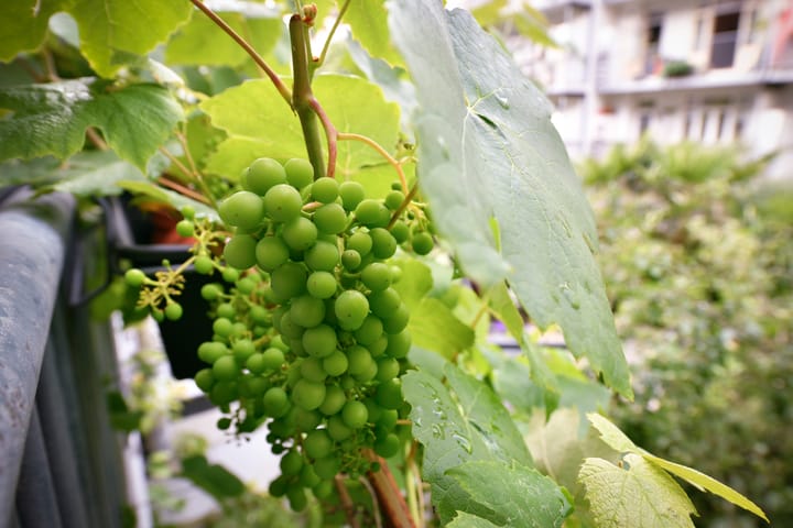 Photo 17 of John Franklinstraat 85-1