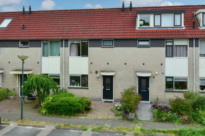 Photo 1 of Vingerhoedskruid 8