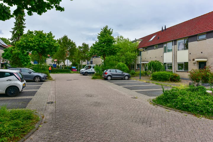 Photo 16 of Vingerhoedskruid 8