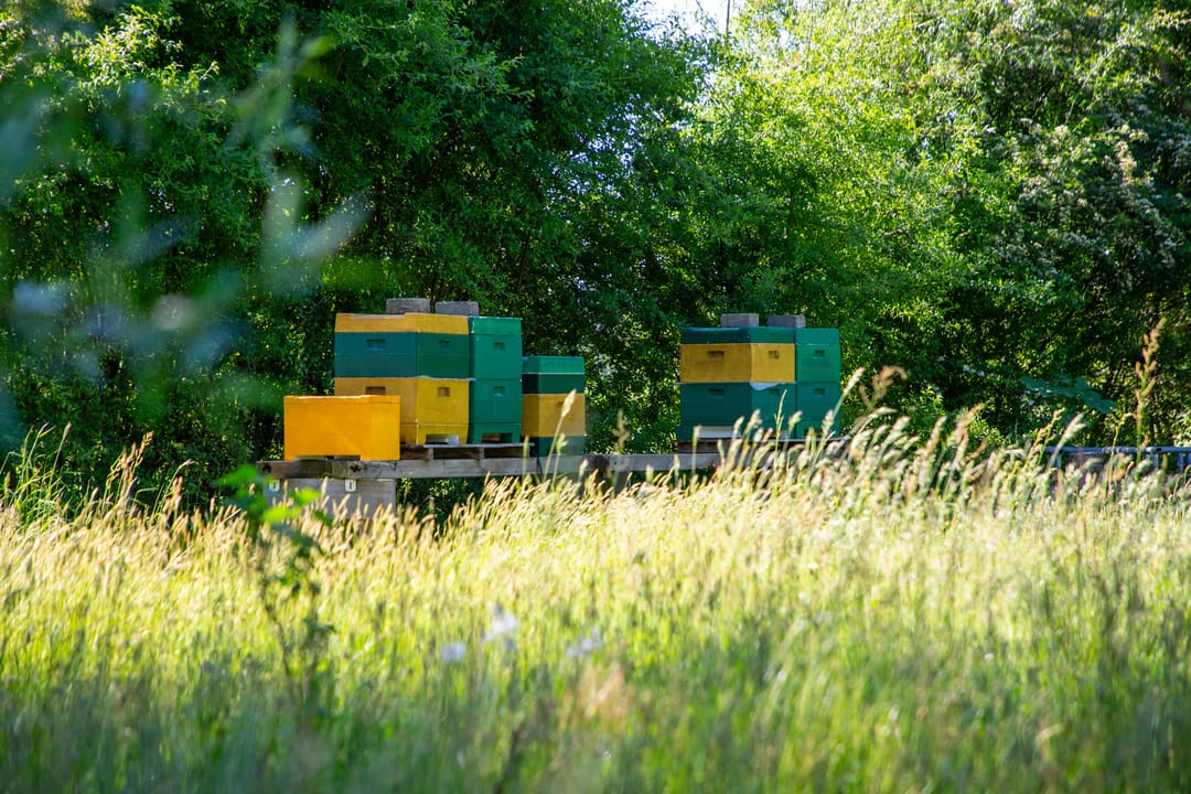 Foto 56 van Waliënseweg 48