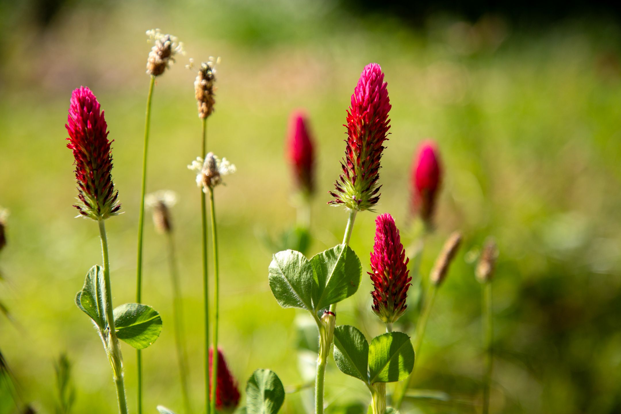 Foto 57 van Waliënseweg 48