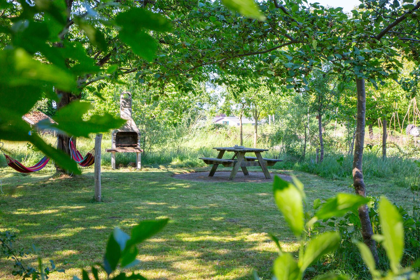 Foto 65 van Waliënseweg 48